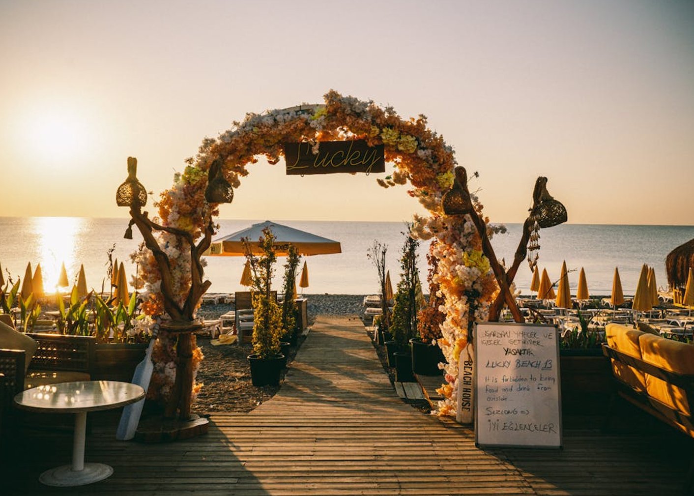 pexels buselliyy 33136449